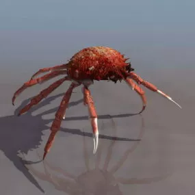 Animal Terrestrial Crab 3d model