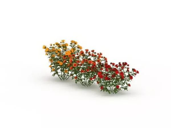 Red Berry Bushes Plant 3d model