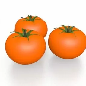 Fresh Tomatoes Vegetable 3d model
