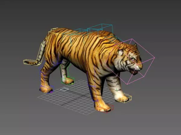 Wild Tiger Rigged 3d model Wild Tiger Rigged 3d model