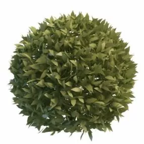 Garden Topiary Ball Plants Decoration 3d model