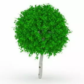 Garden Topiary Ball Tree 3d model