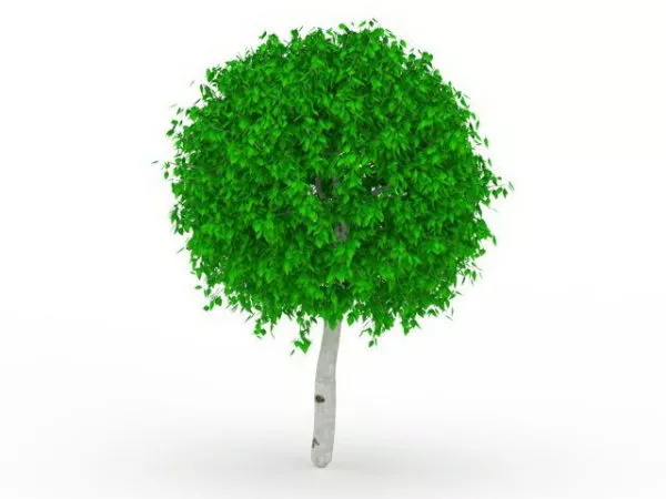 Garden Topiary Ball Tree 3d model Garden Topiary Ball Tree 3d model