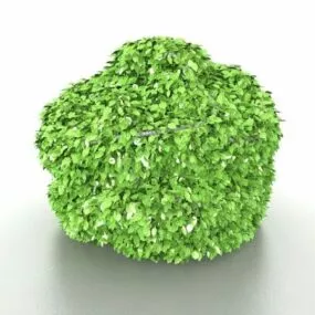 Topiary Garden Shrubs 3d model