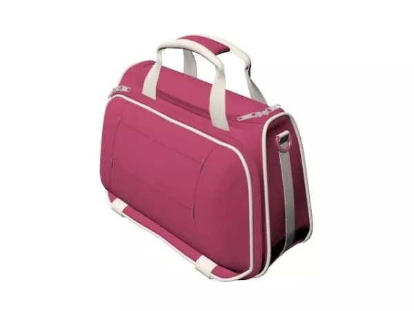 Decorative Leather Bag 3d model