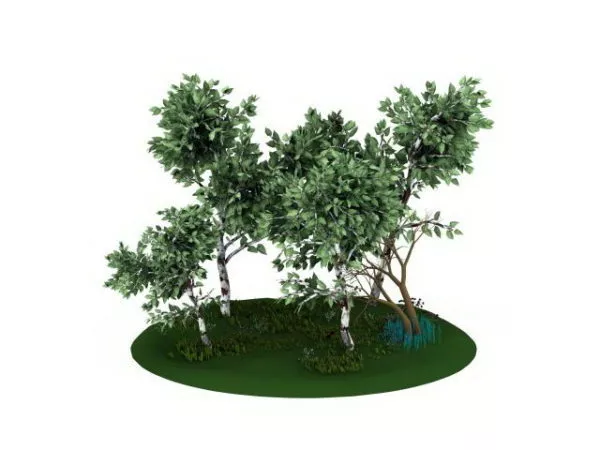 Wheat Grass 3d model