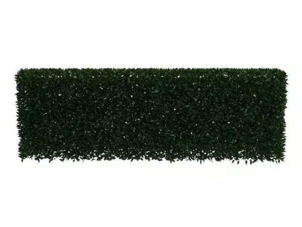Garden Hedge Set 3d model