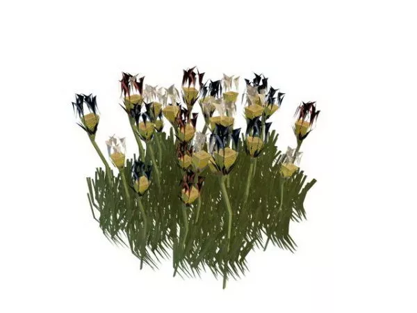 Tulip Flower Garden Shrubs 3d model Tulip Flower Garden Shrubs 3d model
