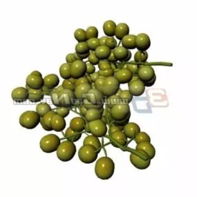 Fresh Grapes Fruit 3d model