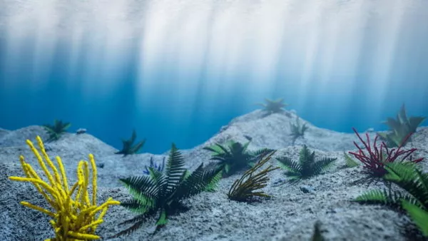 Underwater Scene 3d model Underwater Scene 3d model