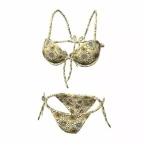 Women Underwear Bra Panties 3d model