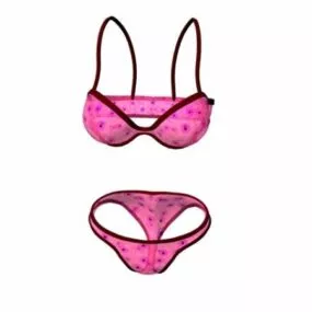 Underwire Bra Panty Fashion 3d model