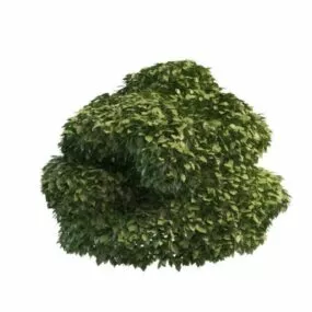 Unique Topiary Garden Design 3d model