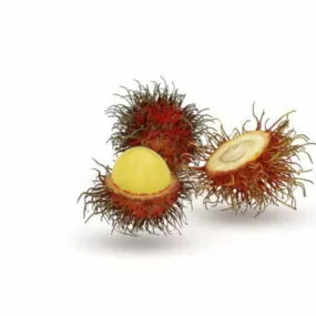 Rambutan Fruit 3d model