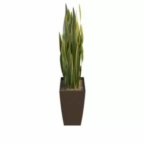 Variegated Yucca Indoor Plant 3d model