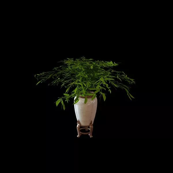 Planter Box Decorative 3d model