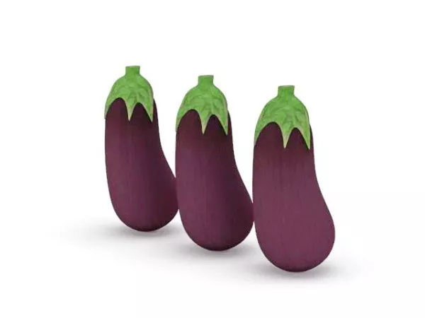 Avocado Tropical Fruit 3d model