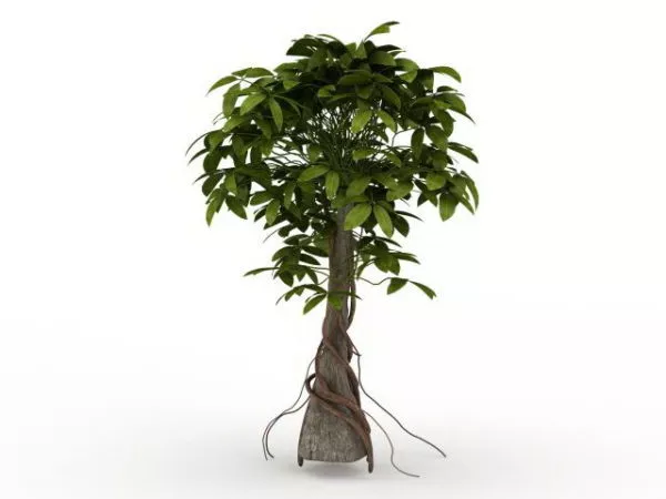 Vine Plant Climbing Tree 3d model Vine Plant Climbing Tree 3d model