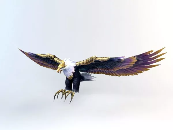 Wild War Eagle 3d model Wild War Eagle 3d model