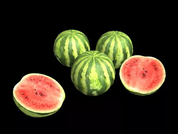 Realistic Watermelon Summer Fruit 3d model Realistic Watermelon Summer Fruit 3d model