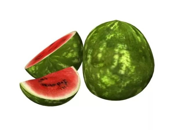 Fruit Watermelon Slice 3d model Fruit Watermelon Slice 3d model
