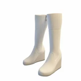 Fashion Wedge Heel Long Boots 3d model