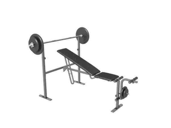 Gym Impulse Dual Inner And Outer 3d model