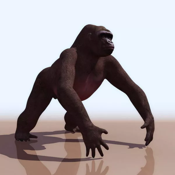 Gorilla Animal Bust Sculpture 3d model