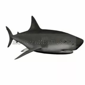 Sea Whale Shark 3d model