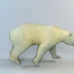 Polar White Bear 3d model