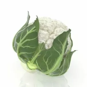 White Cauliflower Vegetable 3d model