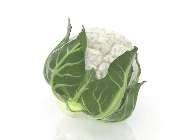 White Cauliflower Vegetable 3d model White Cauliflower Vegetable 3d model