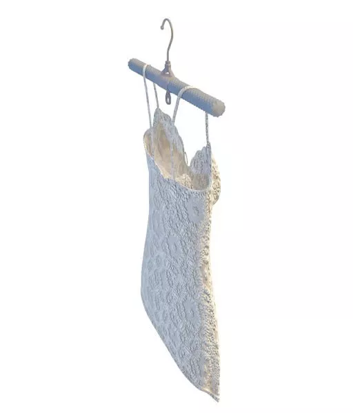Hanger Wall Mount 3d model