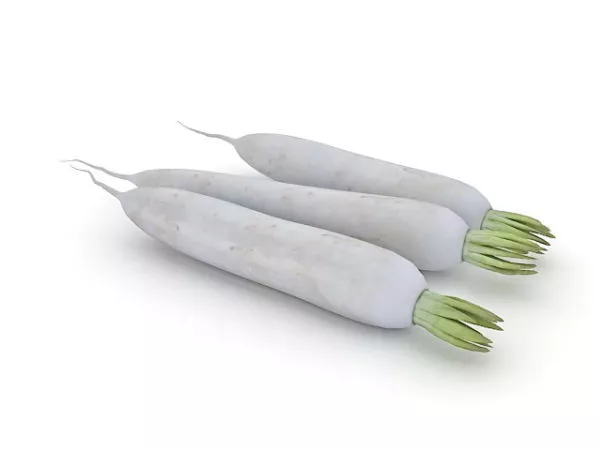 White Radish Root Vegetable 3d model White Radish Root Vegetable 3d model