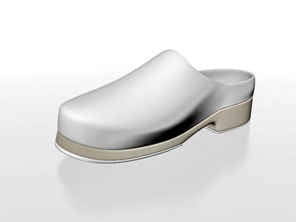 The Shoe On Table 3d model