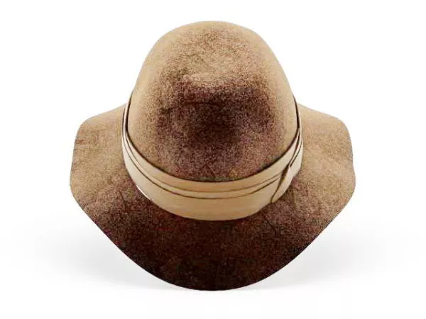 Big Hat 3d model