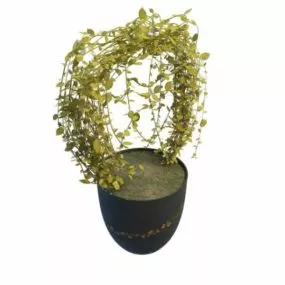 Garden Winter Jasmine Vine Plant 3d model