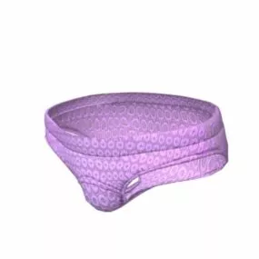 Women Underwear Fashion 3d model