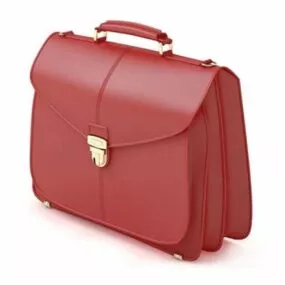 Women Fashion Business Handbag 3d model