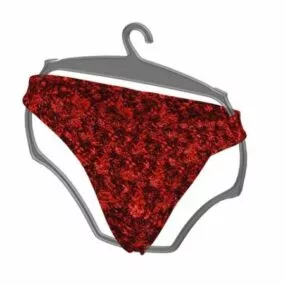 Women Fashion Cotton Tanga Briefs 3d model