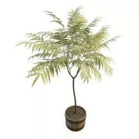 Wood Planter Indoor Tree 3d model