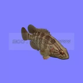 Yellow Body Rockfish Animal 3d model