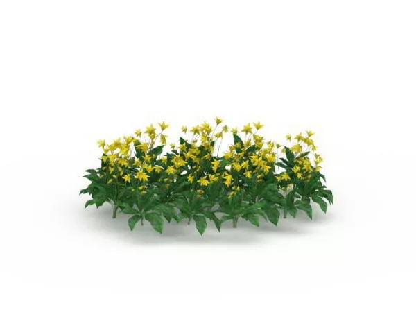 Yellow Garden Flowers Plant 3d model Yellow Garden Flowers Plant 3d model