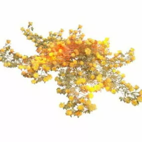 Yellow Rose Garden Bush 3d model