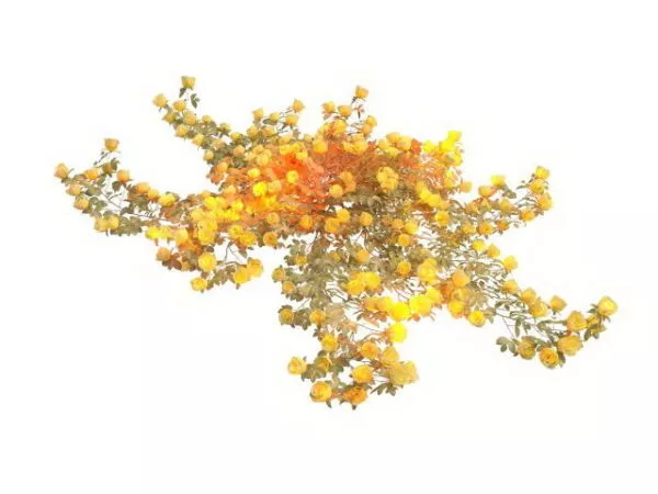 Decoration Bush With Stones 3d model