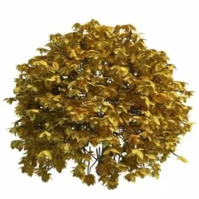 Topiary Tree Garden Decoration 3d model