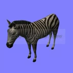 African Zebra Animal 3d model