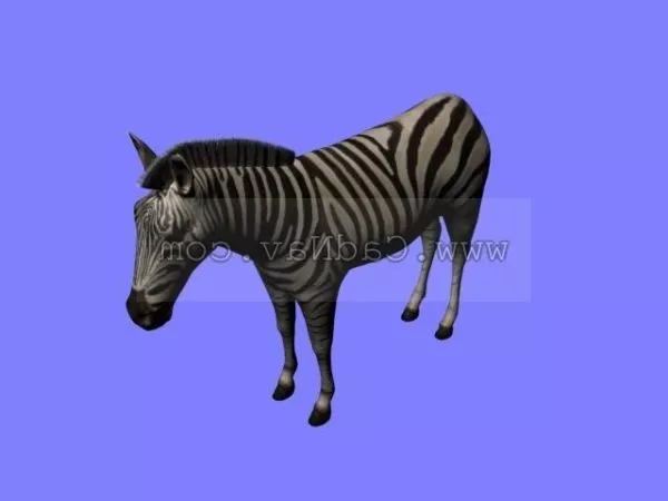 African Zebra Animal 3d model African Zebra Animal 3d model