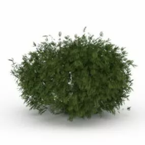 Landscape Garden Pine Shrubs 3d model