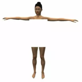 Health Female Body Anatomy 3d model